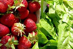 Strawberries