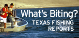 Fishing Reports