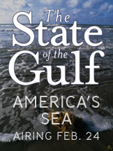 State of the Gulf Spotlight