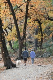 Fall Hiking