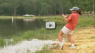Fish and handling video
