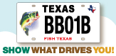New bass license plate spotlight