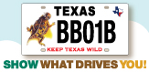 New horned lizard license plate spotlight