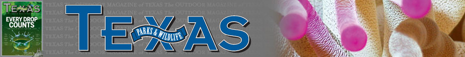July issue header