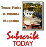 Mag ad_ salt water fish_spotlight