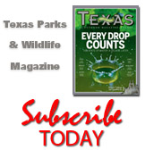 Magazine link to special offers