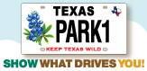 Bluebonnet License Plate spotlight