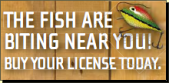 Buy a Fishing License Spotlight