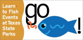 Go Fish spotlight