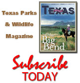 mag ad_state parks1
