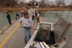 TPWD Fisheries Technician Stocks Trout