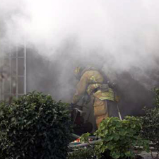 Dutton Fire 2
