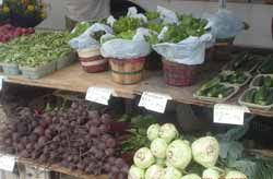 June_produce