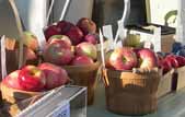 baskets_of_apples