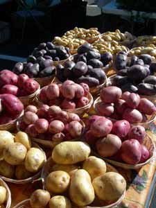 potatoes10