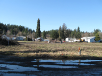 Vernonia OR